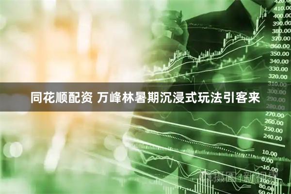 同花顺配资 万峰林暑期沉浸式玩法引客来