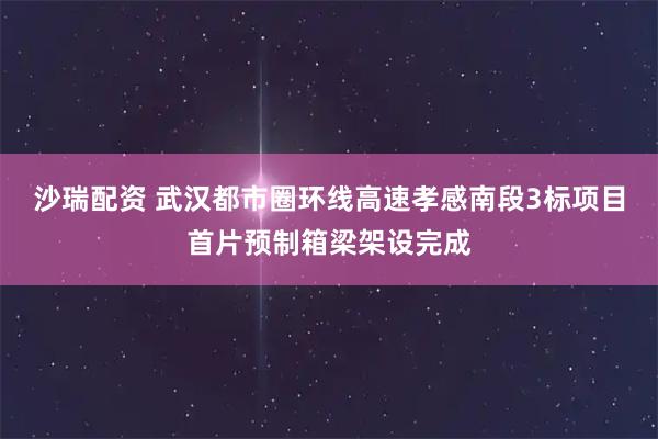 沙瑞配资 武汉都市圈环线高速孝感南段3标项目首片预制箱梁架设完成